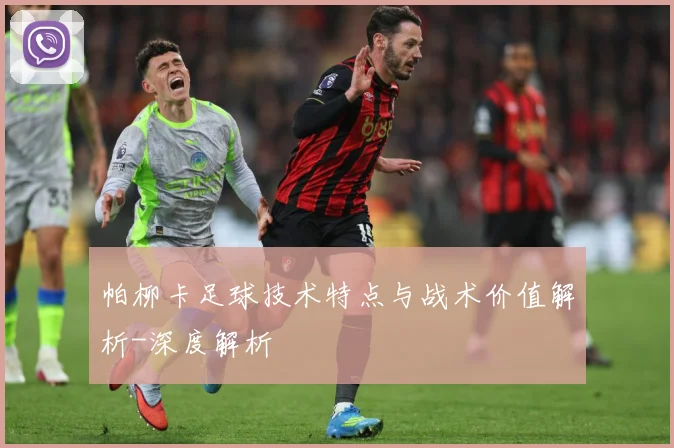 帕柳卡足球技术特点与战术价值解析-深度解析
