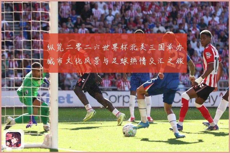 纵览二零二六世界杯北美三国举办城市文化风景与足球热情交汇之旅赛事前瞻-深度解析