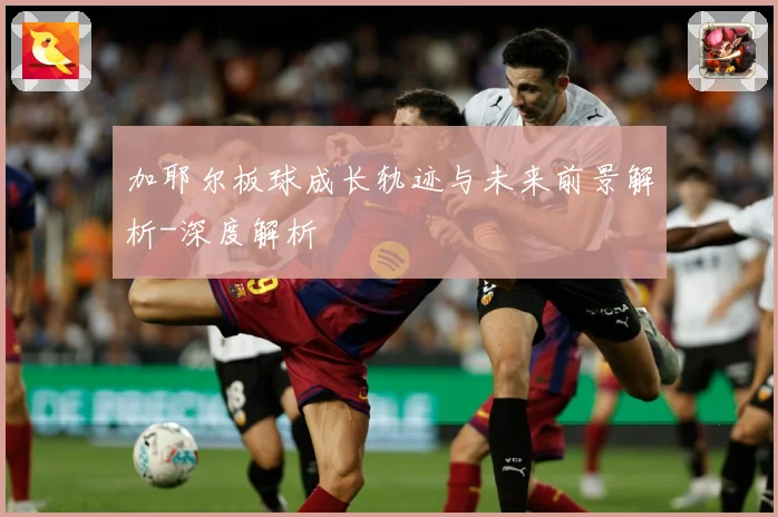 加耶尔板球成长轨迹与未来前景解析-深度解析