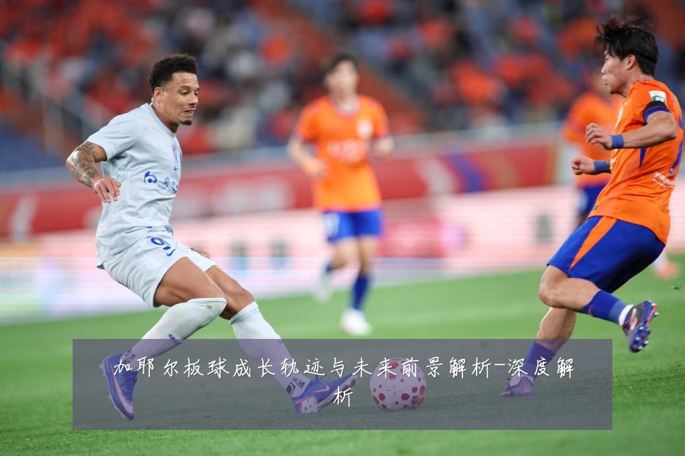 加耶尔板球成长轨迹与未来前景解析-深度解析